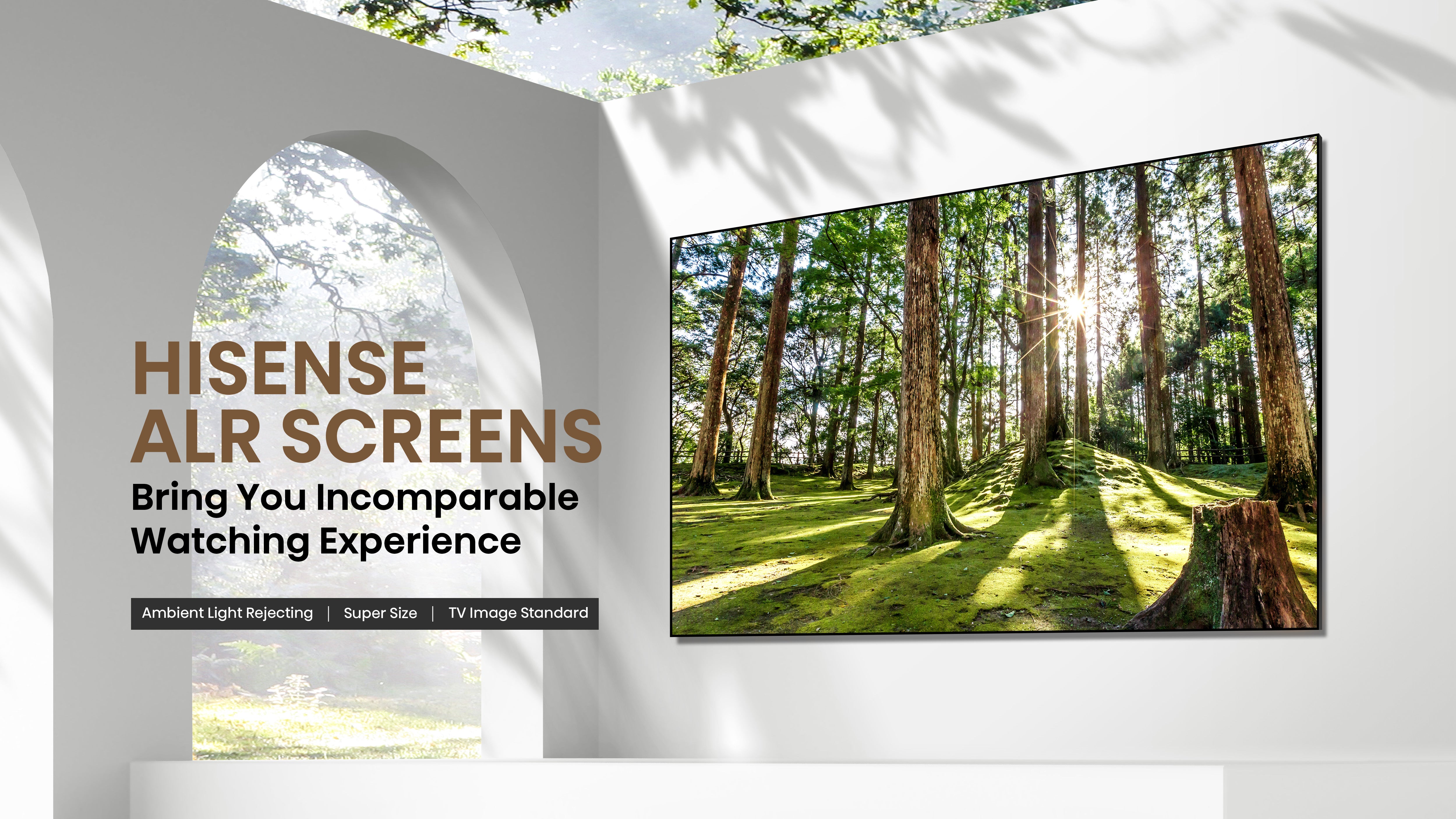 Hisense 100-inch Ambient Light Rejecting Fixed Wall Mount Ultra Short Throw Projector Screen - Black