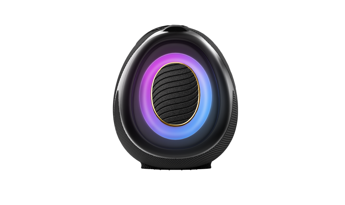 Hisense WeBoom Portable Bluetooth Speaker