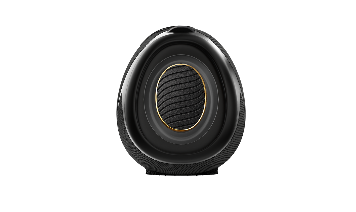 Hisense WeBoom Portable Bluetooth Speaker