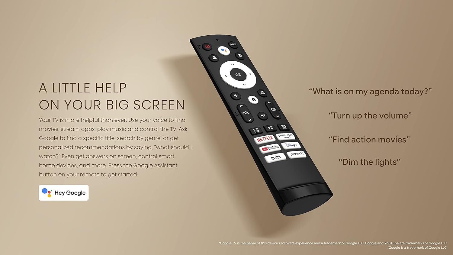 T299843 - Hisense Google TV Remote Control